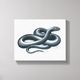 Eastern Indigo Snake Canvas Print Leinwanddruck