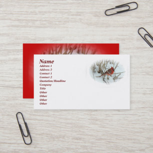 Eastern Kardinal Songbird Business Card Visitenkarte