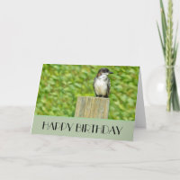 Eastern Kingbird - Geburtskarte