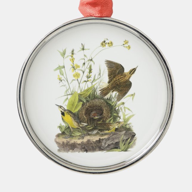 Eastern Meadowlark von Audubon Silbernes Ornament (Vorne)
