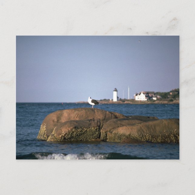Eastern Point Leuchtturm, Gloucester, Massachusett Postkarte (Vorderseite)