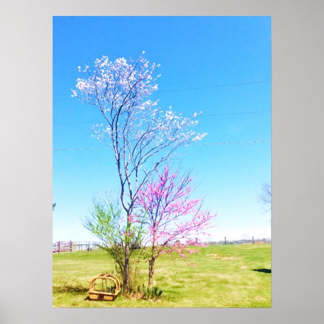 Eastern Redbud steht neben Eastern Redcedar Poster (Vorne)