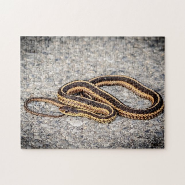 Eastern Ribbon Snake (Garter Snake) Puzzle (Horizontal)