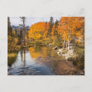 Eastern Sierra, Bishop Creek, Kalifornien Ausgang Postkarte