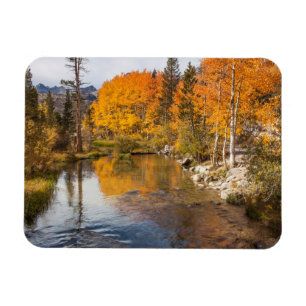 Eastern Sierra, Bishop Creek, Kalifornien Auslass Magnet