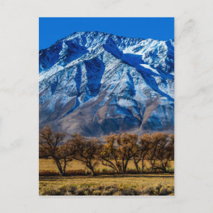 Eastern Sierra Nevada Fall - Bischof - Kalifornien Postkarte