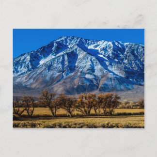 Eastern Sierra Nevada Fall - Bischof - Kalifornien Postkarte