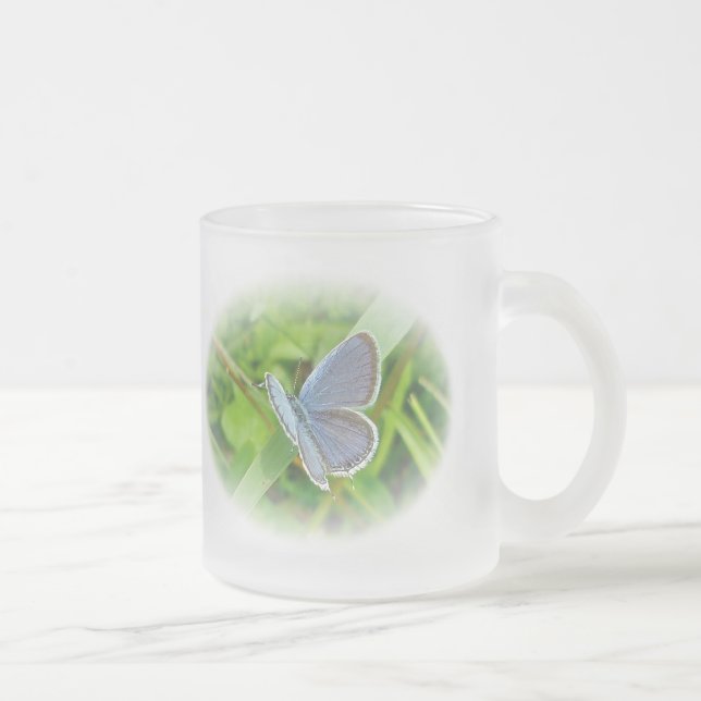 Eastern Tails Blue Butterfly Mattglastasse (Rechts)