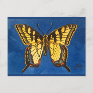 Eastern Tiger Butterfly Postcard Postkarte