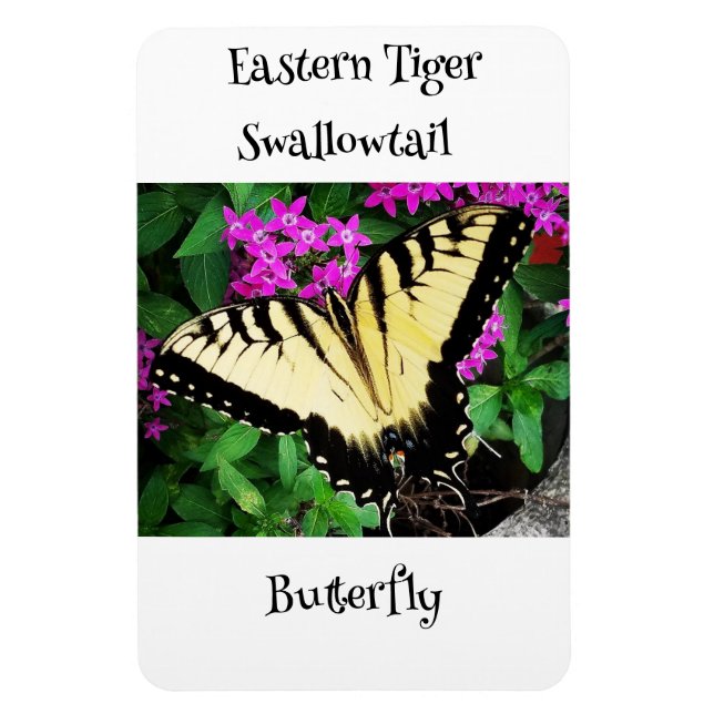 Eastern Tiger Frack Butterfly #1 Magnet (Vertikal)