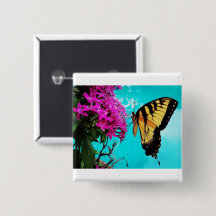 Eastern Tiger Frack Butterfly #2