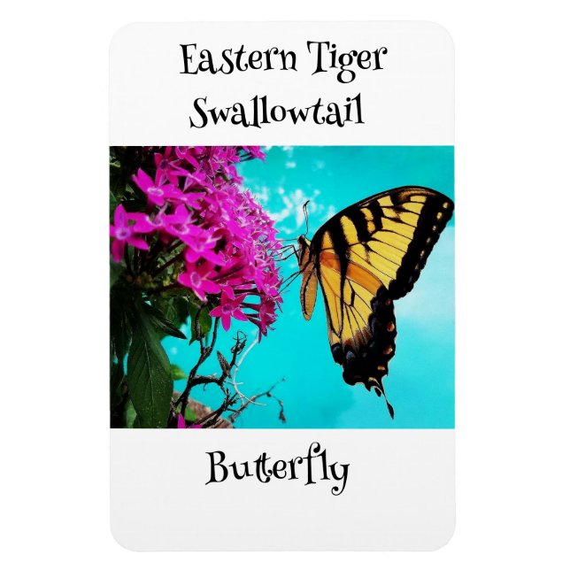 Eastern Tiger Frack Butterfly #2 Magnet (Vertikal)