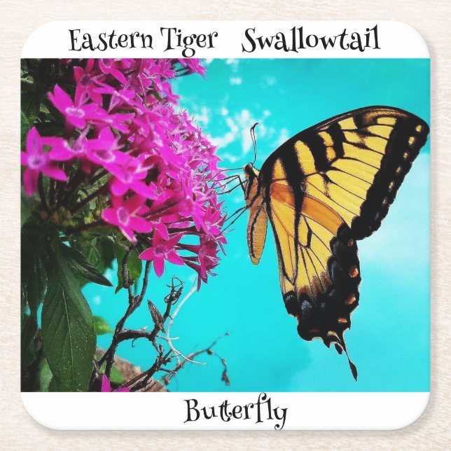 Eastern Tiger Frack Butterfly #2 Rechteckiger Pappuntersetzer (Vorderseite)