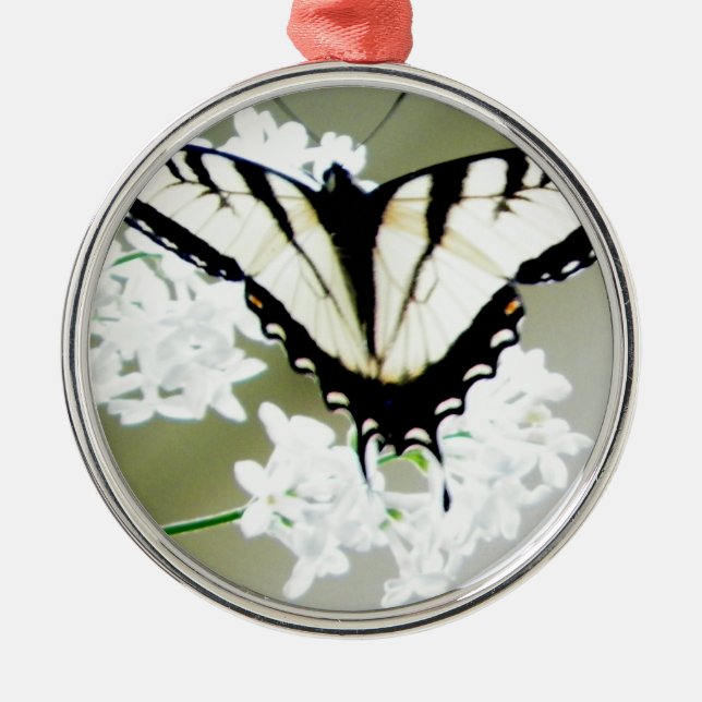 Eastern Tiger Frack Butterfly Foto Silbernes Ornament (Vorne)