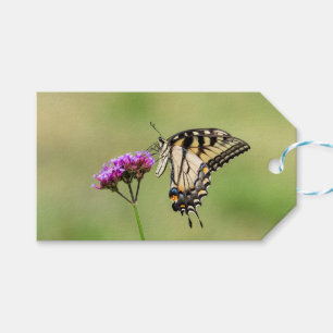 Eastern Tiger Frack Butterfly Geschenkanhänger