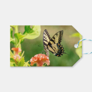 Eastern Tiger Frack Butterfly Geschenkanhänger