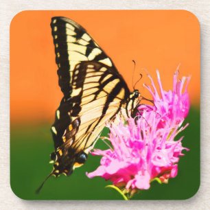 Eastern Tiger Frack Butterfly Getränkeuntersetzer
