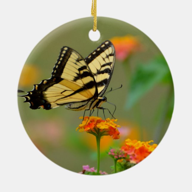 Eastern Tiger Frack Butterfly Keramikornament (Hinten)