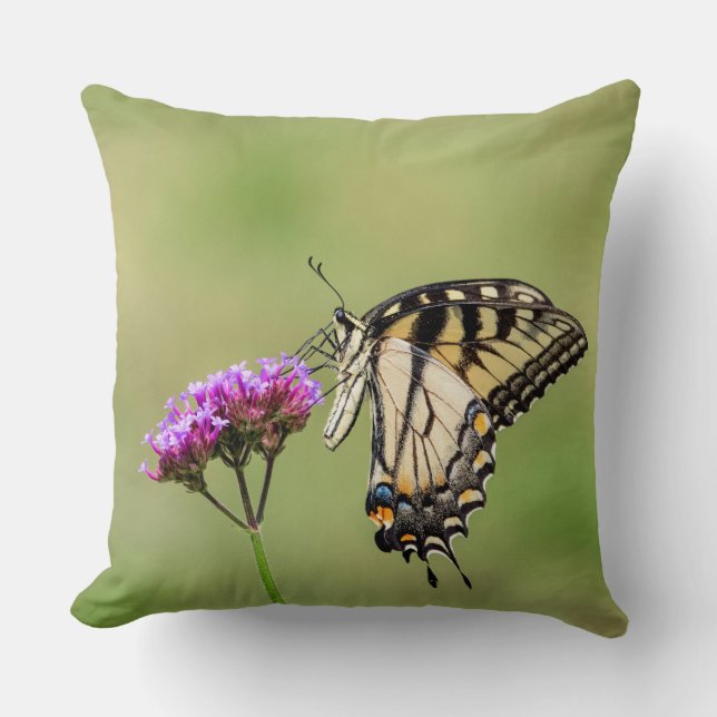 Eastern Tiger Frack Butterfly Kissen (Vorderseite)