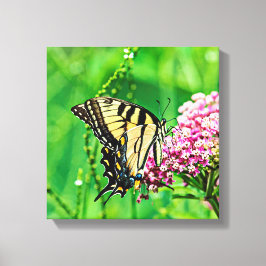 Eastern Tiger Frack Butterfly Leinwanddruck