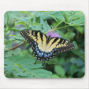 Eastern Tiger Frack Butterfly Mousepad