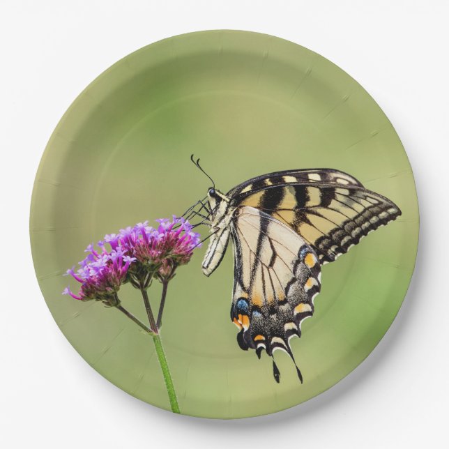 Eastern Tiger Frack Butterfly Pappteller (Vorderseite)
