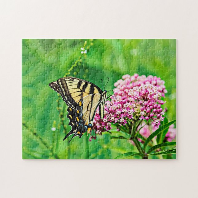 Eastern Tiger Frack Butterfly Puzzle (Horizontal)