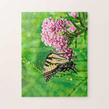 Eastern Tiger Frack Butterfly