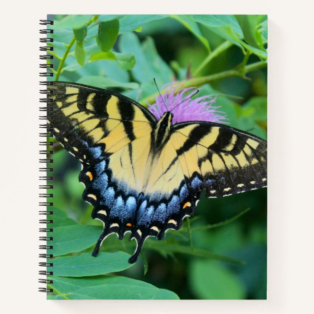 Eastern Tiger Swallowtail Butterfly Notizbuch (Vorderseite)