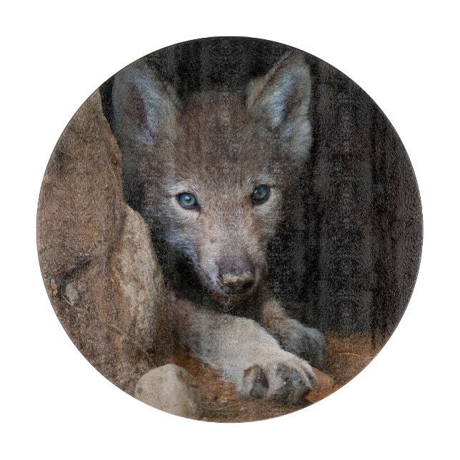 Eastern Timber Wolf Schneidebrett (Vorderseite)