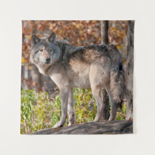 Eastern Timber Wolf  Wandteppich