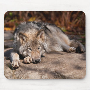Eastern Wolf Mousepad