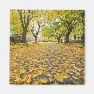 Eastmoreland in der Herbststraßen- und Magnet