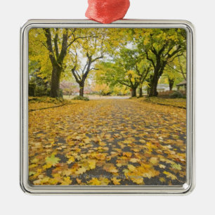 Eastmoreland in der Herbststraßen- und Ornament Aus Metall