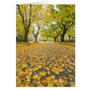 Eastmoreland Nachbarschaft im Herbst