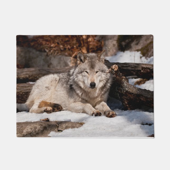 Easttern Gray Wolf Fußmatte (Vorderseite)