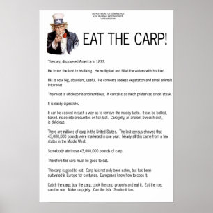 Eat the Carp! Poster