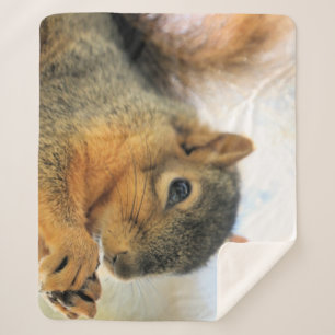 Eat Throw Blanket Sherpadecke