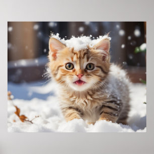 *~* Eating Snow Kitty 5:4 Kitten Cat AP68 Poster