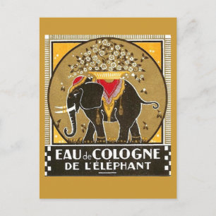 Eau de Cologne des Elefanten Postkarte