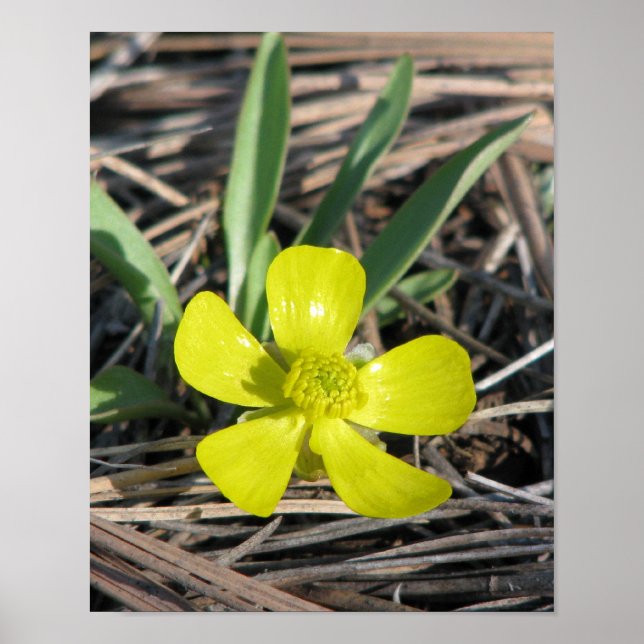 eb914d3d831da7681f0eff33fe3afaf5_200 poster (Vorne)