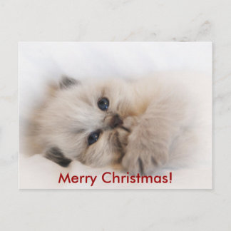 ebay 003, Frohe Weihnachten! Feiertagspostkarte