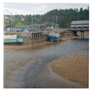 Ebbe in der Bay of Fundy in St. Martins, Neu Fliese