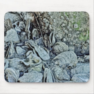 Ebbe-Schönheits-Austern-Bett Mousepad
