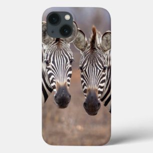 Ebene Zebras, Kruger-Nationalpark Case-Mate iPhone Hülle