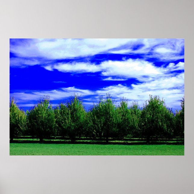 Ebenen der Natur Poster (Vorne)