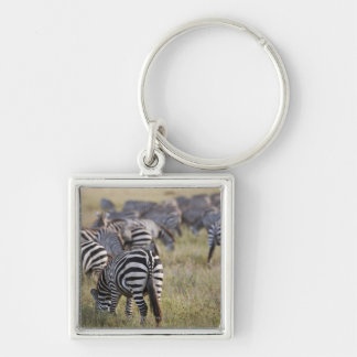 EbenenZebras auf Migration, Equus Quagga, Schlüsselanhänger