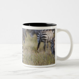 EbenenZebras auf Migration, Equus Quagga, Zweifarbige Tasse