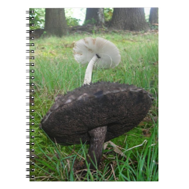 Ebenholz- und Elfenbein-Pilz-Notizbuch Notizblock (Vorderseite)