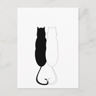 Ebony and Ivory Cats Postkarte